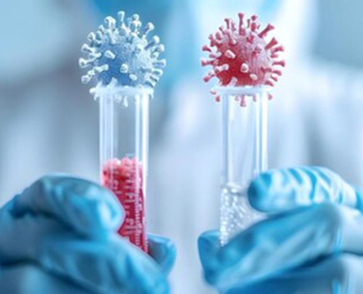 Rapid Infectious Disease Testing11