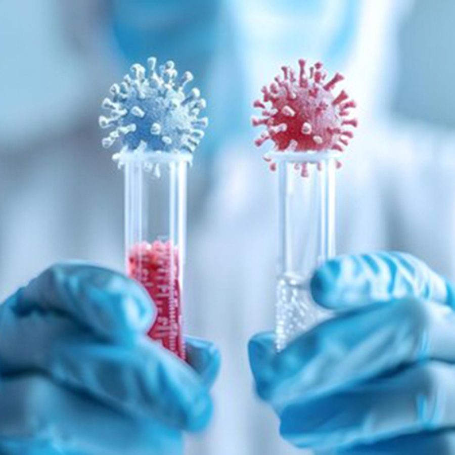Rapid Infectious Disease Testing11